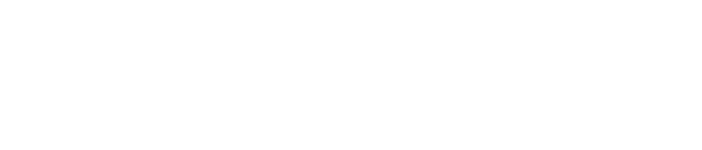 Kortex